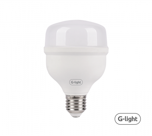 LED ENCE T100 BASIC 50W E27 6500K AUTOVOLT