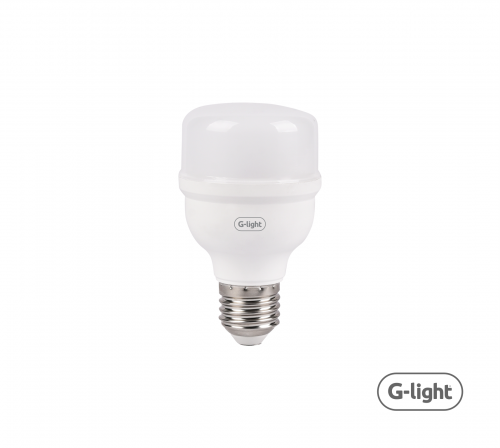LED ENCE T60 BASIC 20W E27 6500K AUTOVOLT