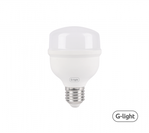 LED ENCE T70 BASIC 30W E27 6500K AUTOVOLT