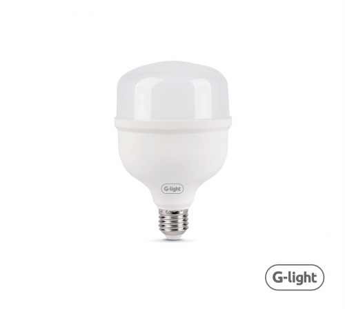 LED ENCE T120 60W E27 6500K AUTOVOLT